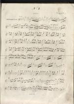 Souvenir Fantaisie Concertante pour Flute et Piano Dédiée à Madame Wentworth Beaumont par Tulou, opera 61